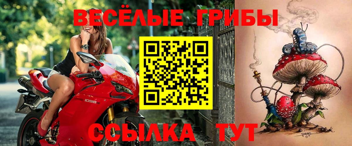 Тулун  Псилоцибиновые грибы Magic Shrooms  Вход с VPN  Псилоцибиновые грибы Magic Shrooms 